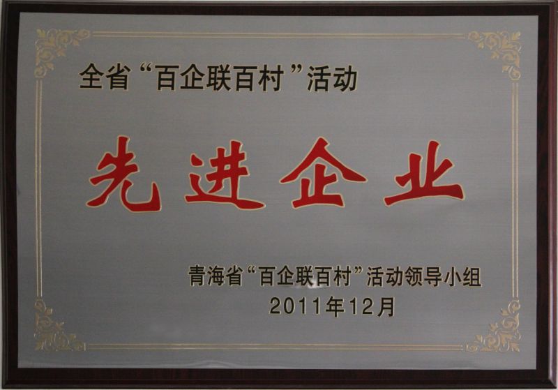 &ldquo;百企聯(lián)百村活動&rdquo;先進企業(yè)