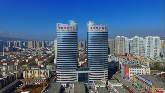 繼往開(kāi)來(lái)，革故鼎新，再創(chuàng)輝煌――物產(chǎn)化工公司舉行揭牌儀式